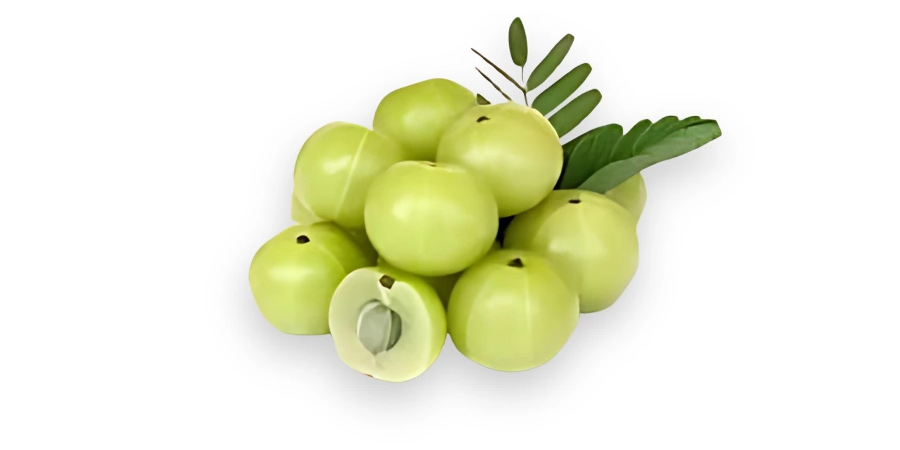 Health benefits of Indian gooseberry (Amla)