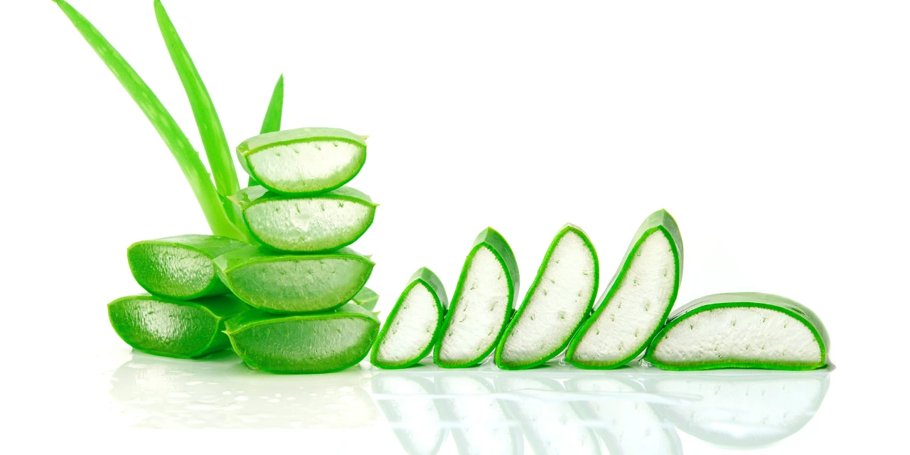 health benefits of aloe vera